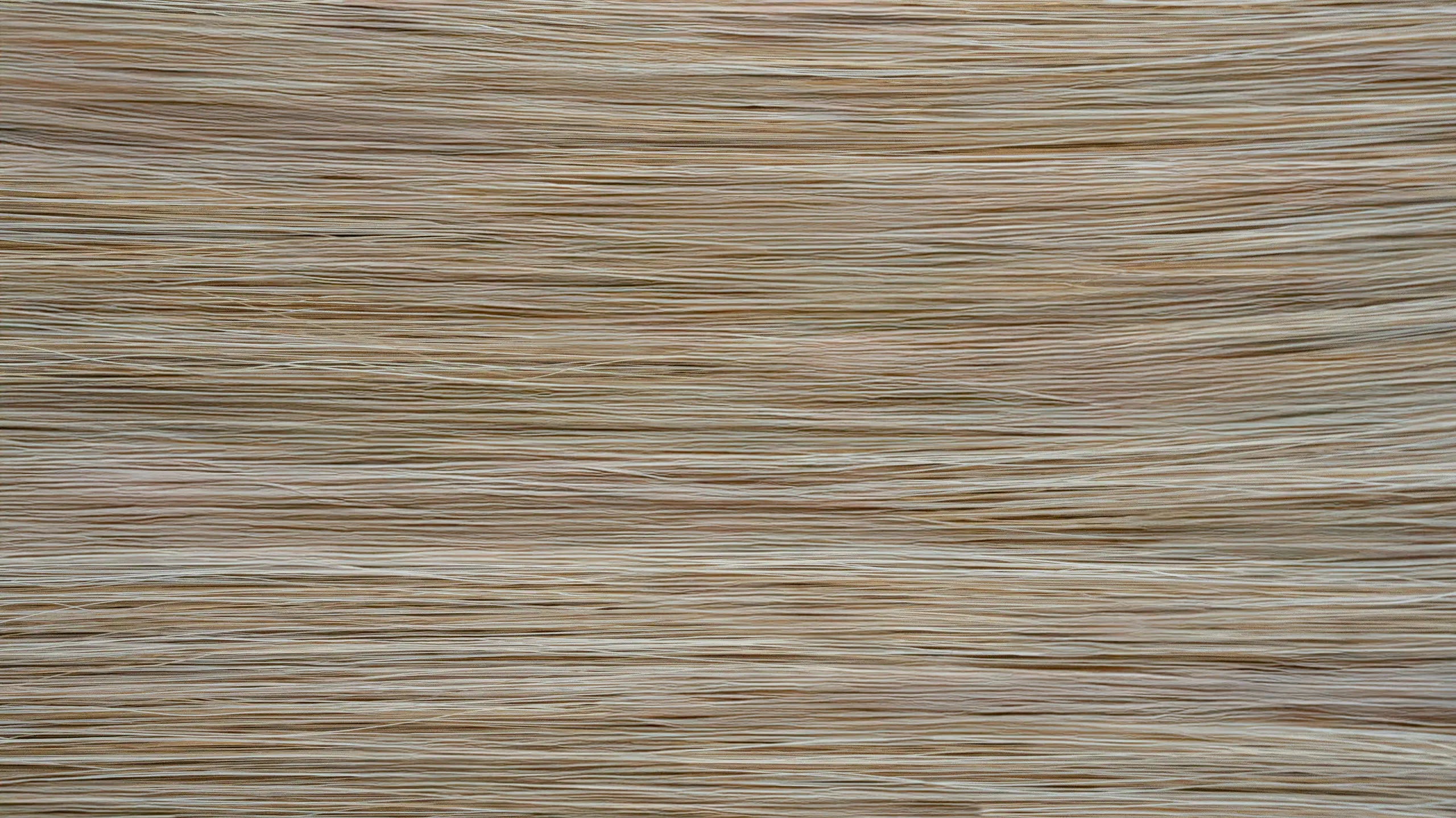 New 2025 - Precision Weft Collection