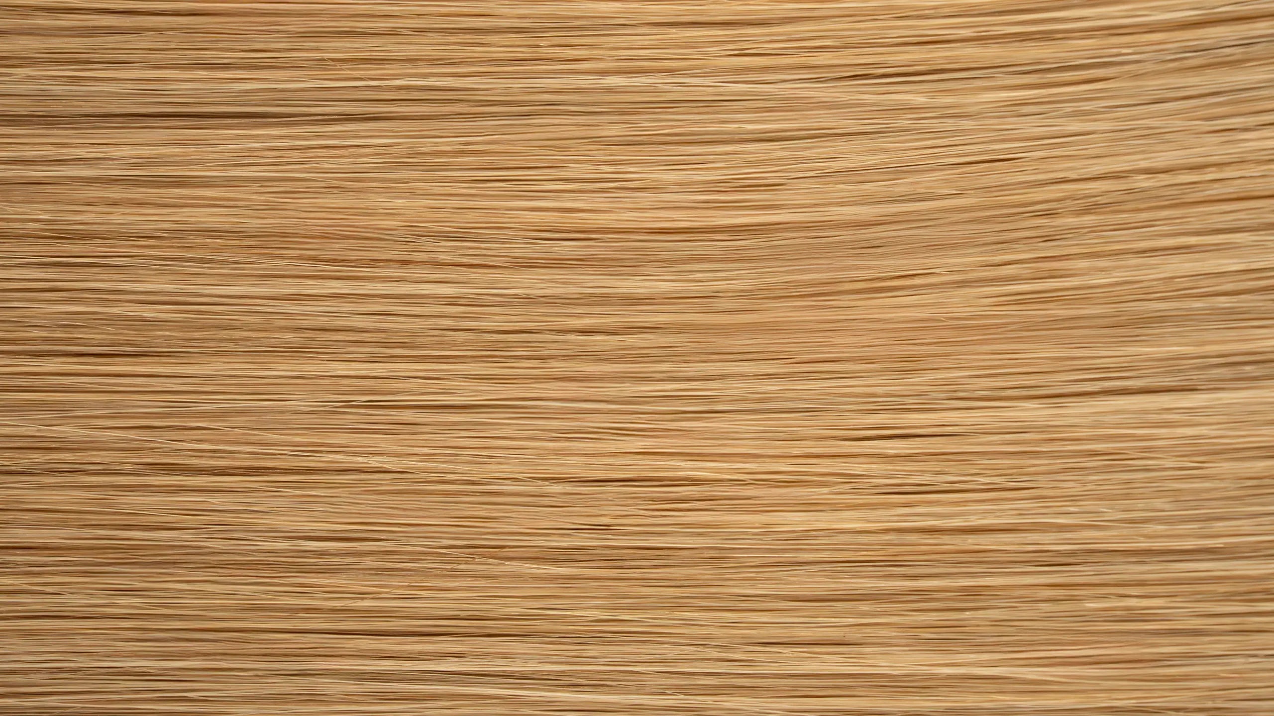 New 2025 - Precision Weft Collection