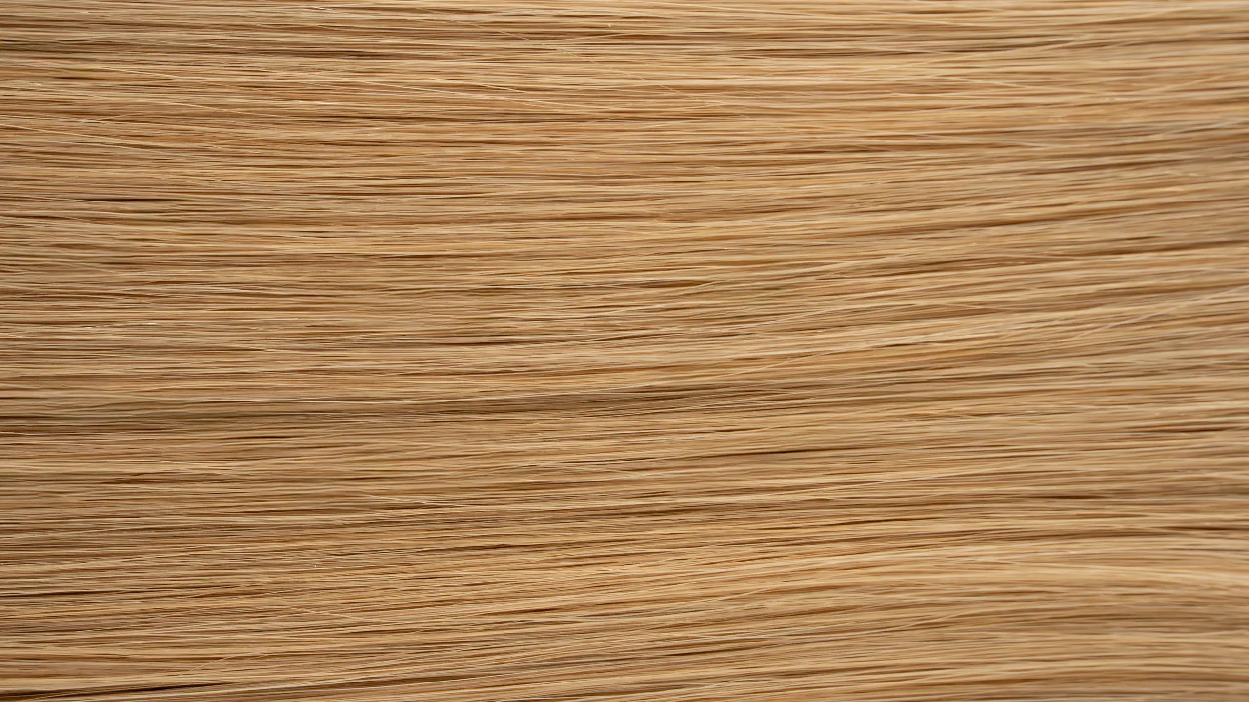New 2025 - Precision Weft Collection
