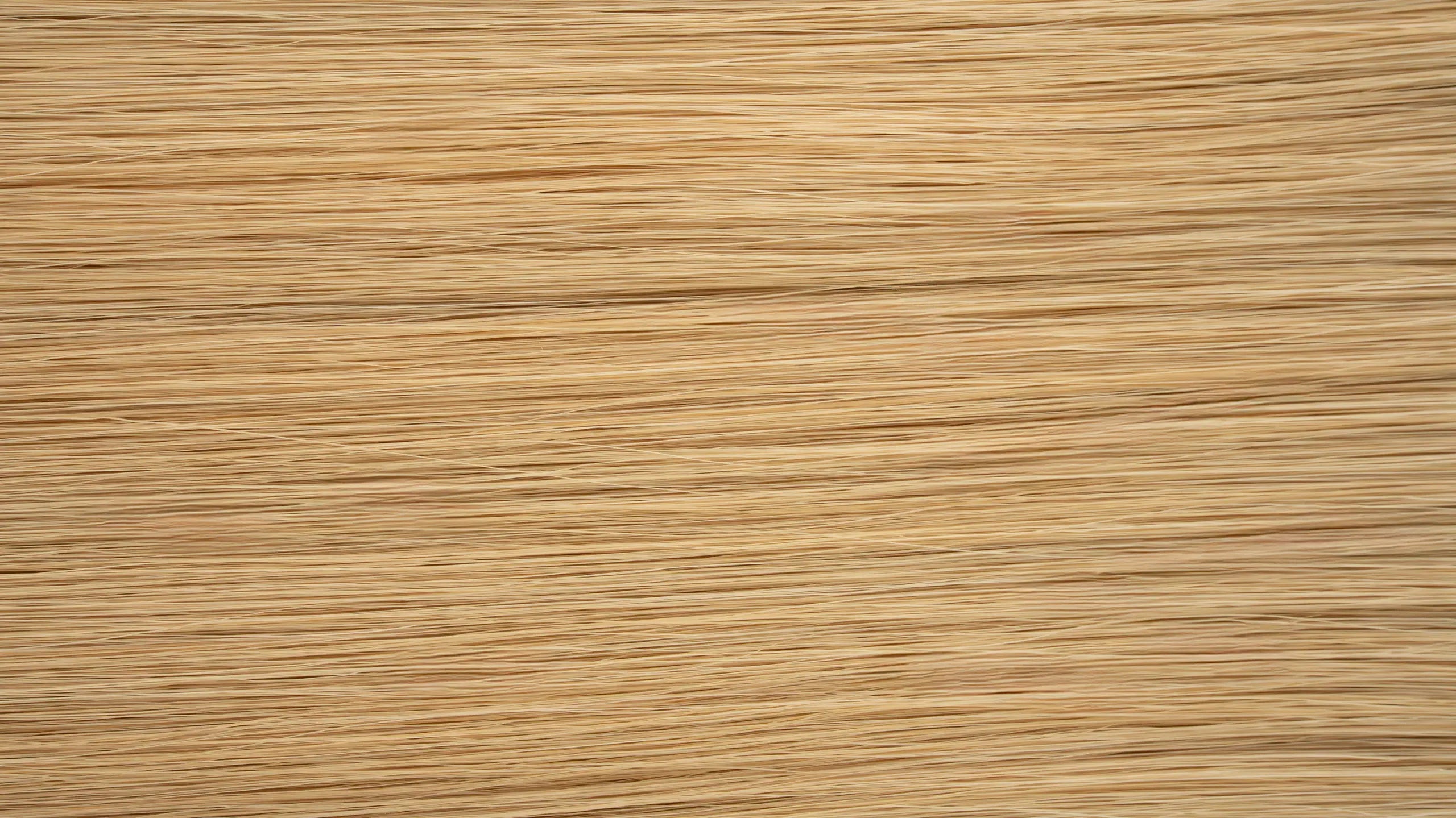 New 2025 - Precision Weft Collection