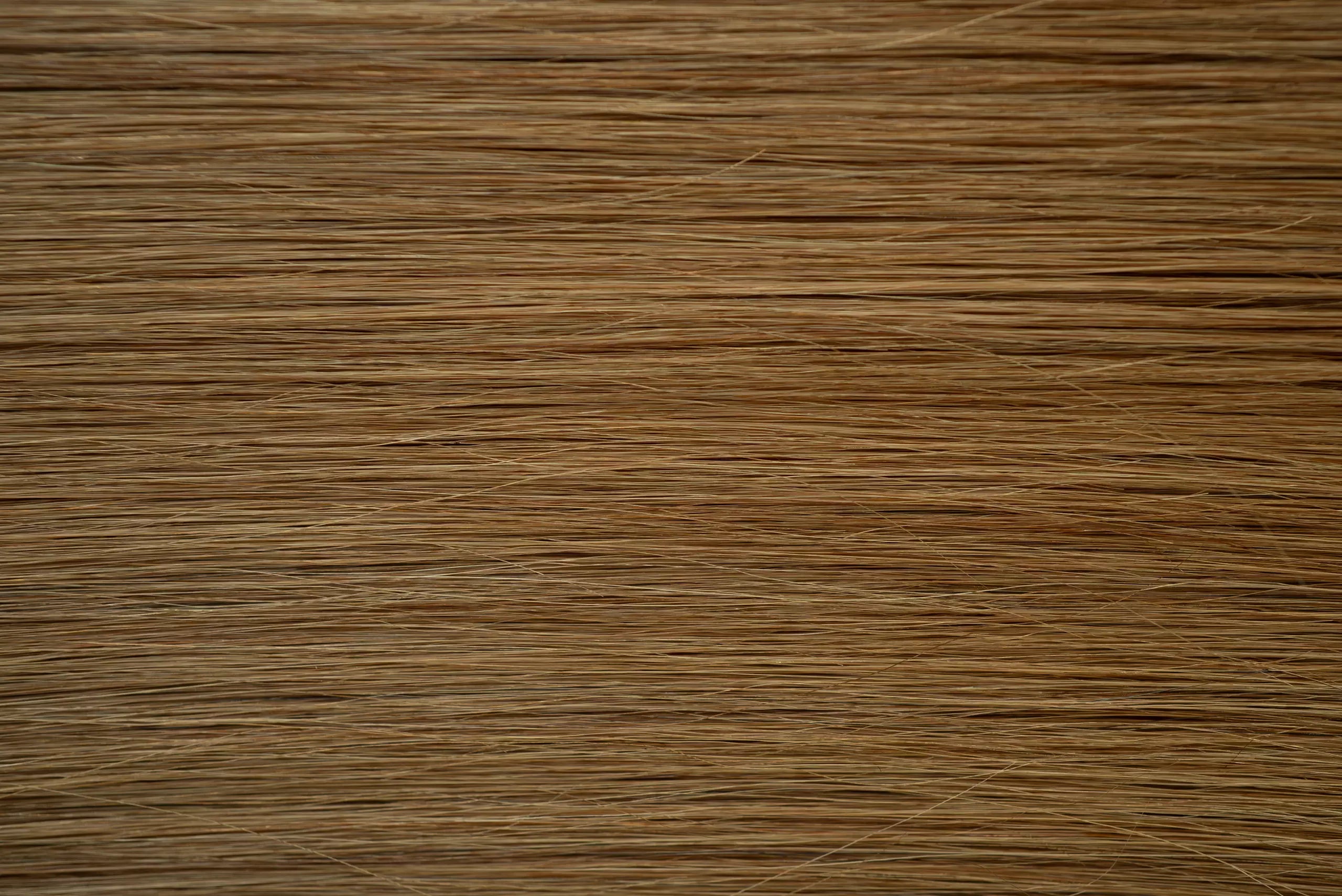 New 2025 - Precision Weft Collection