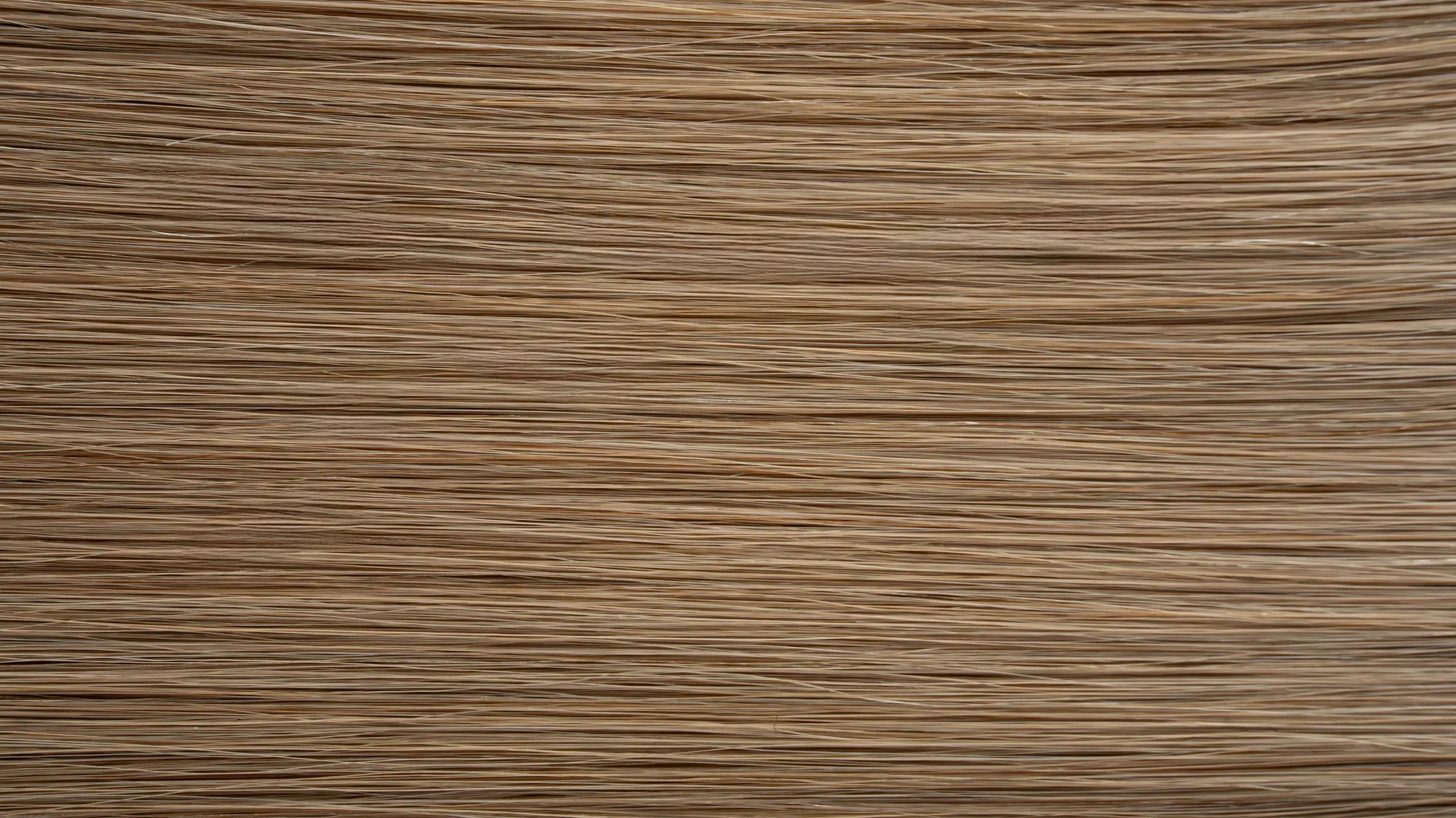 New 2025 - Precision Weft Collection