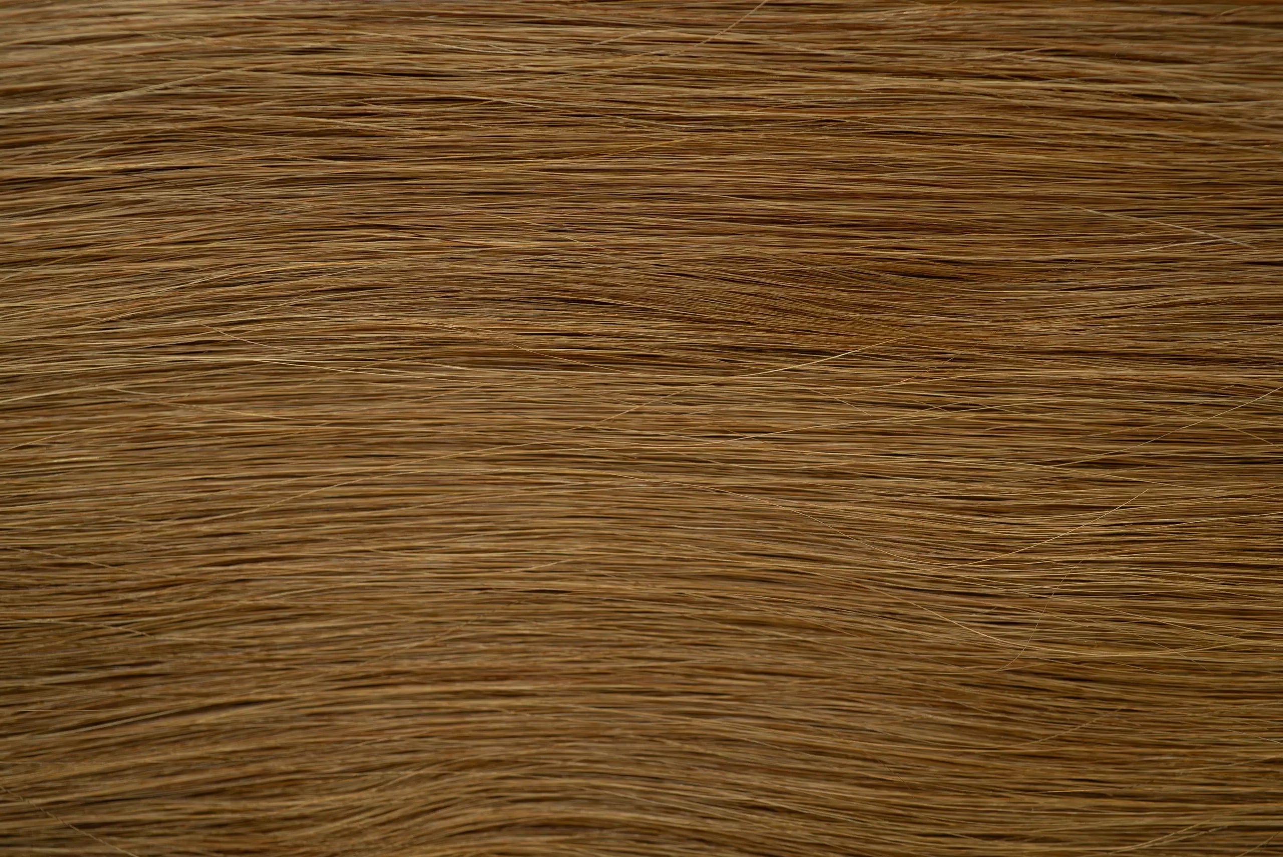 New 2025 - Precision Weft Collection