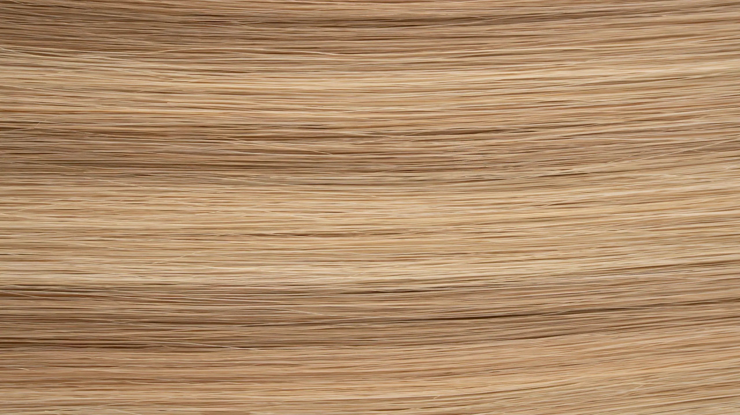New 2025 - Precision Weft Collection