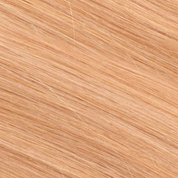 New Pro Collection - Tapes (22Inch)