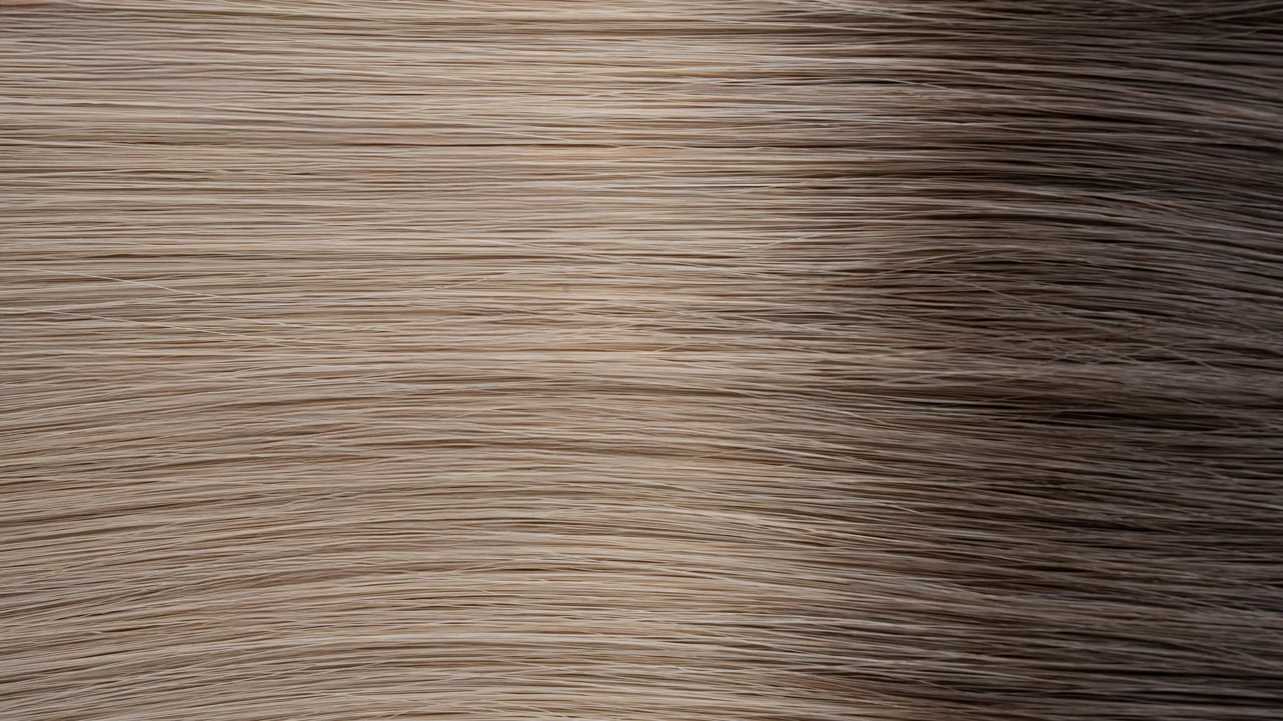 New 2025 - Precision Weft Collection