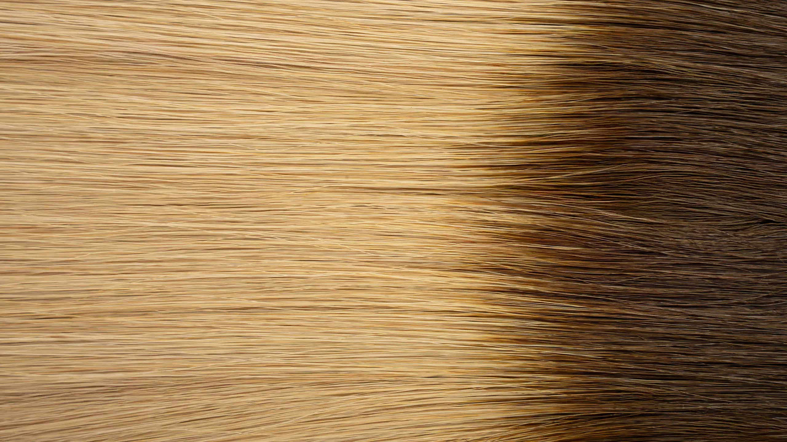 New 2025 - Precision Weft Collection