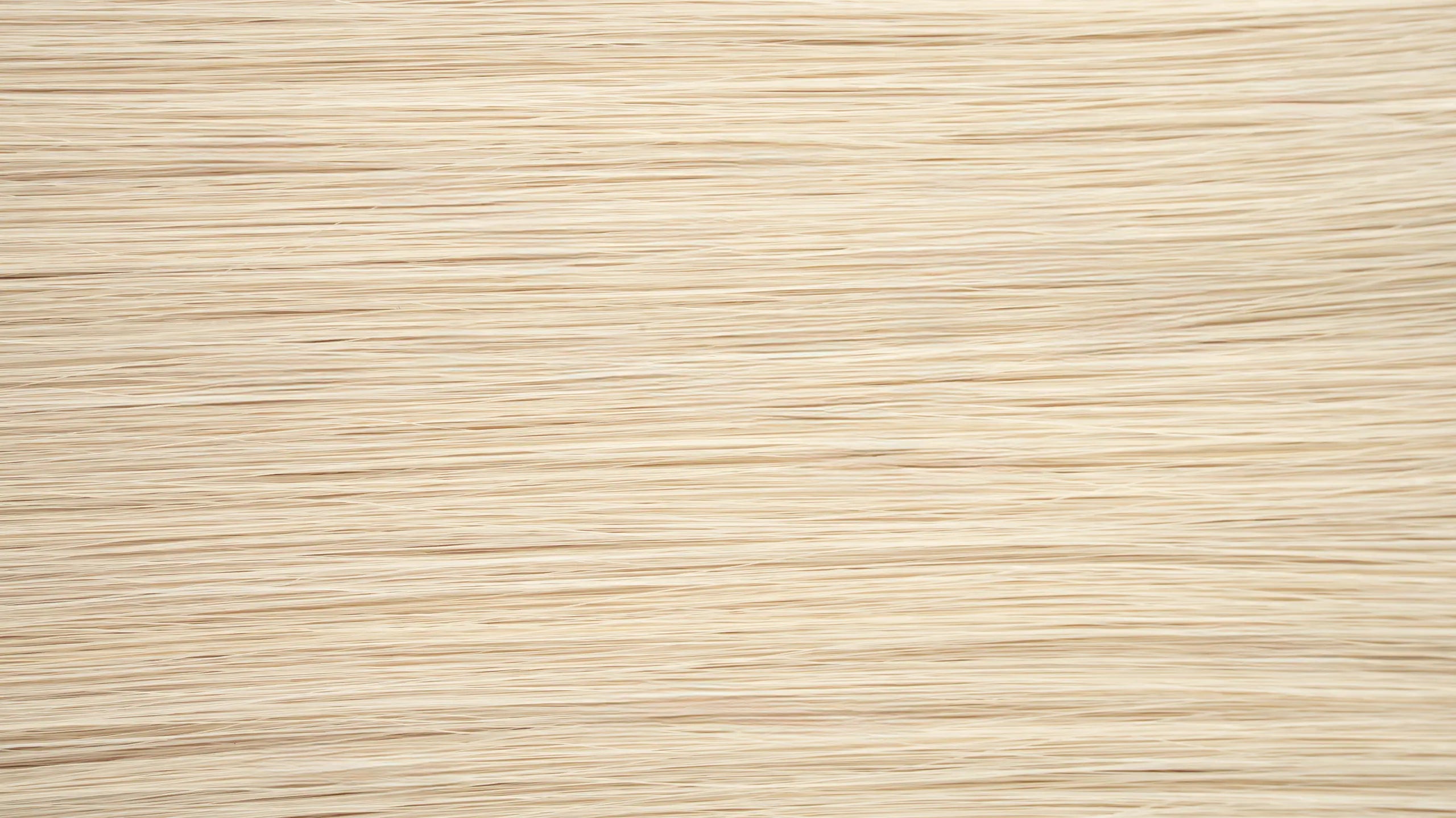 New 2025 - Precision Weft Collection