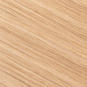 Classic Clip-in Collection (22Inch)