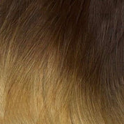 Classic Clip-in Collection (22Inch)